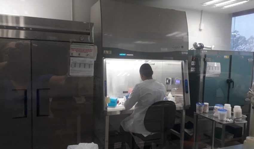 Registra Tamaulipas 8 nuevos casos de COVID-19, suman 997