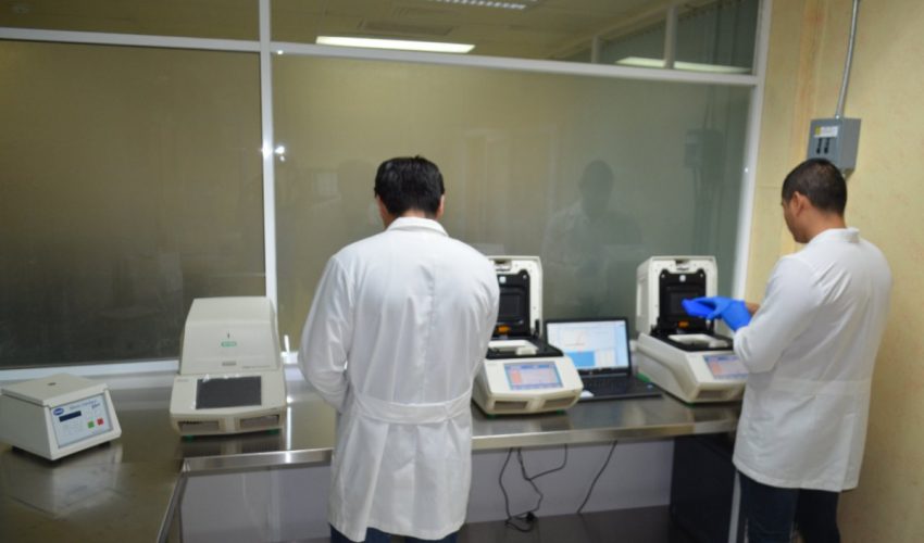 Reporta SST 12 nuevos casos positivos a COVID-19 en Tamaulipas, la cifra oficial es de 545