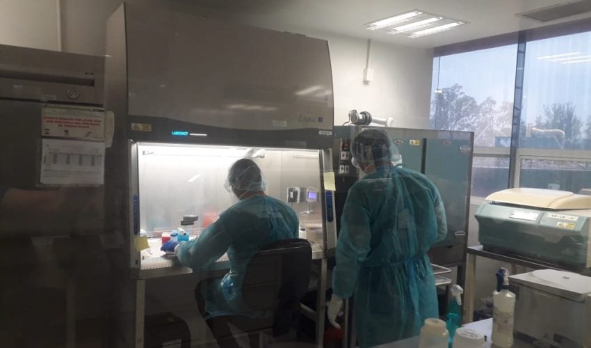 COVID-19 en Tamaulipas suma 302 nuevos casos, pide SST no relajar medidas preventivas