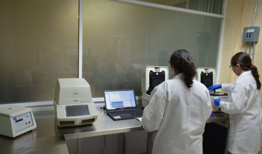 COVID-19: 332 nuevos casos positivos en Tamaulipas, suman 17644 en total