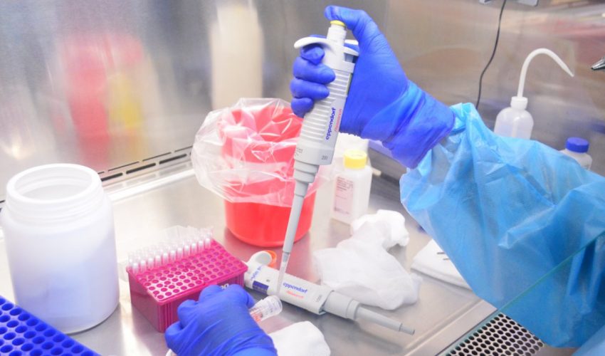 Tamaulipas reporta este domingo 74 nuevos casos de coronavirus