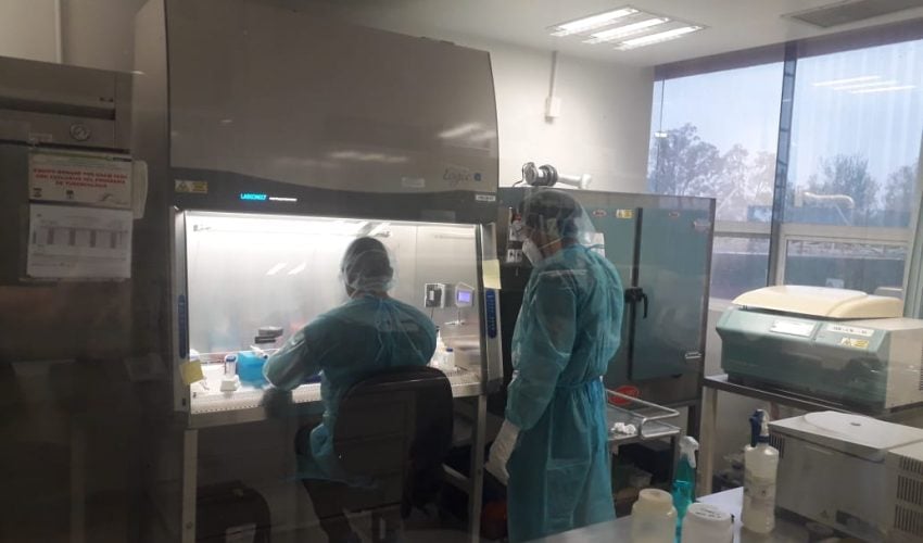 Confirma SST 52 nuevos casos de COVID-19 durante las últimas 24 horas