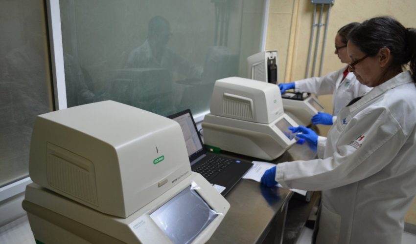 Pide SST seguir luchando contra el COVID-19 para reducir el impacto de la pandemia en Tamaulipas