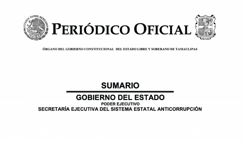 Bases y el catálogo de perfiles para la Plataforma Digital Estatal de Tamaulipas