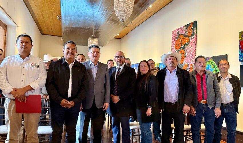 Implementación del Sistema S1 en la Región del Altiplano