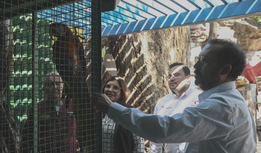 Corroboran autoridades estatales buen funcionamiento de Tamatán