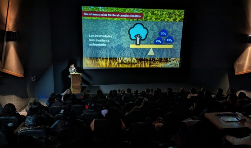 Unen esfuerzos por la conservación del manglar