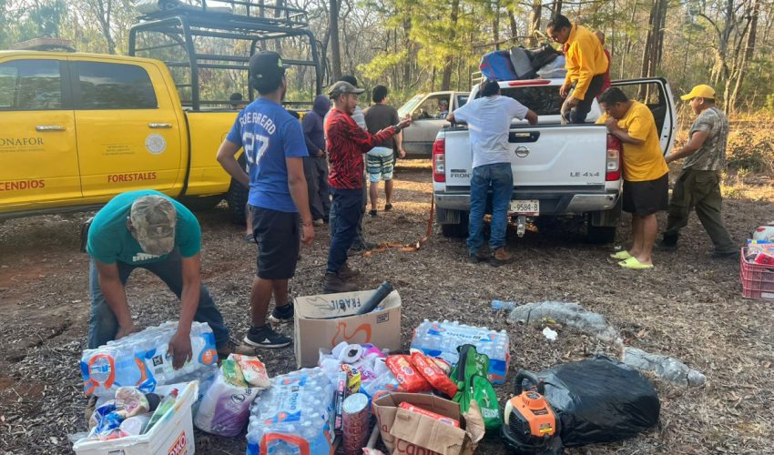 Colaboran brigadistas de la SEDUMA en contención de incendio forestal en Jaumave