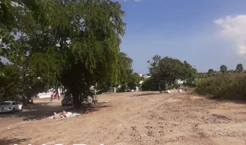 Rescata la PAUT predio en Tampico tras retiro de escombros y desechos