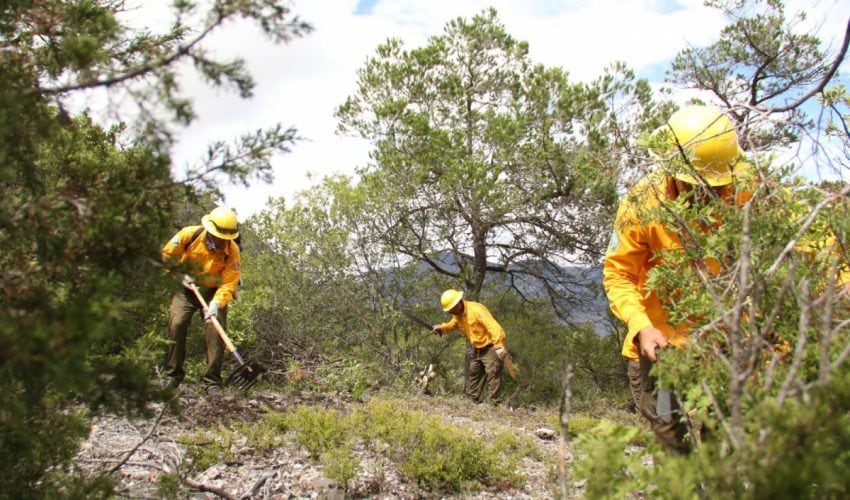 Fortalece Tamaulipas respuesta ante incendios forestales