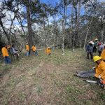 Promueve SEDUMA recuperación de ecosistemas forestales en el altiplano