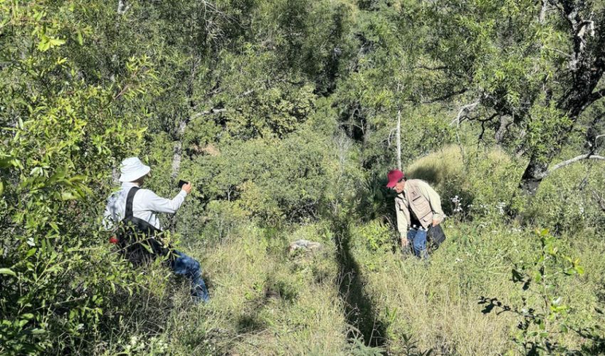 Fortalecen SEDUMA Y CONAFOR estrategia para preservar riqueza ambiental de TAMAULIPAS