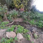 Interviene la PAUT ante presunto relleno de la Laguna Tierra Negra de Madero