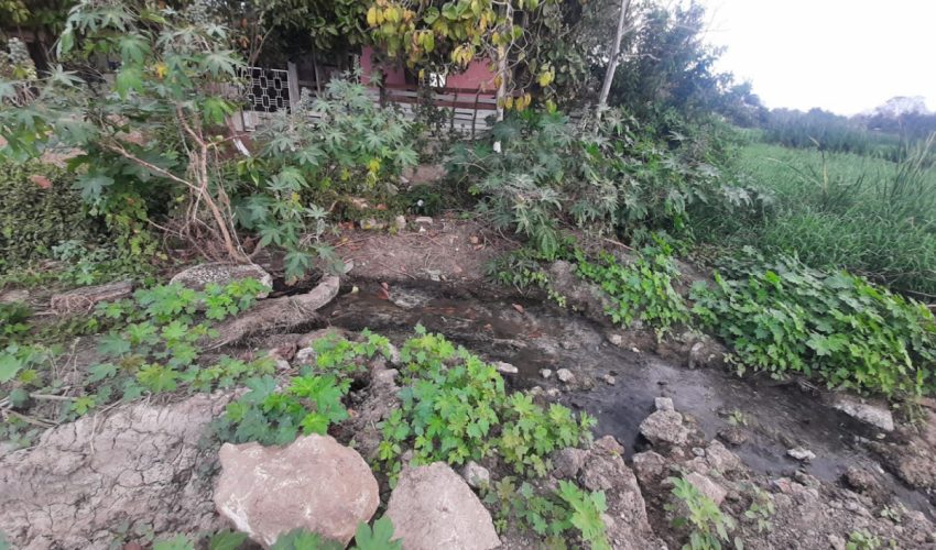 Interviene la PAUT ante presunto relleno de la Laguna Tierra Negra de Madero