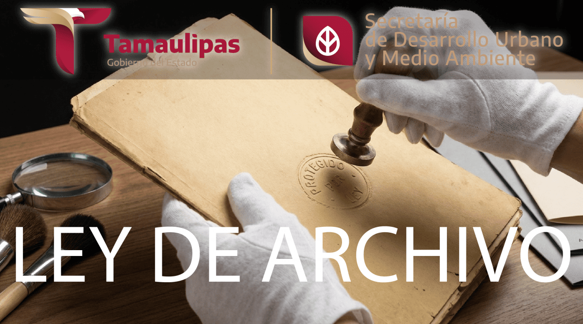 Ley de Archivo
