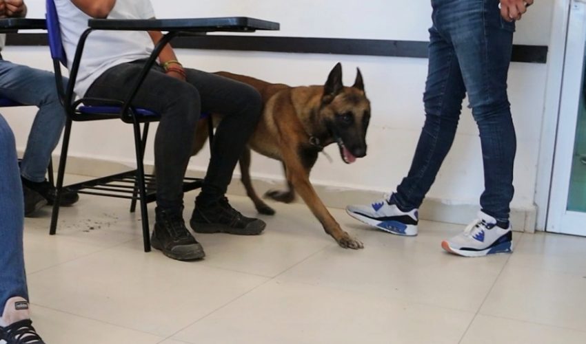 Binomios caninos realizan inspecciones en centros educativos