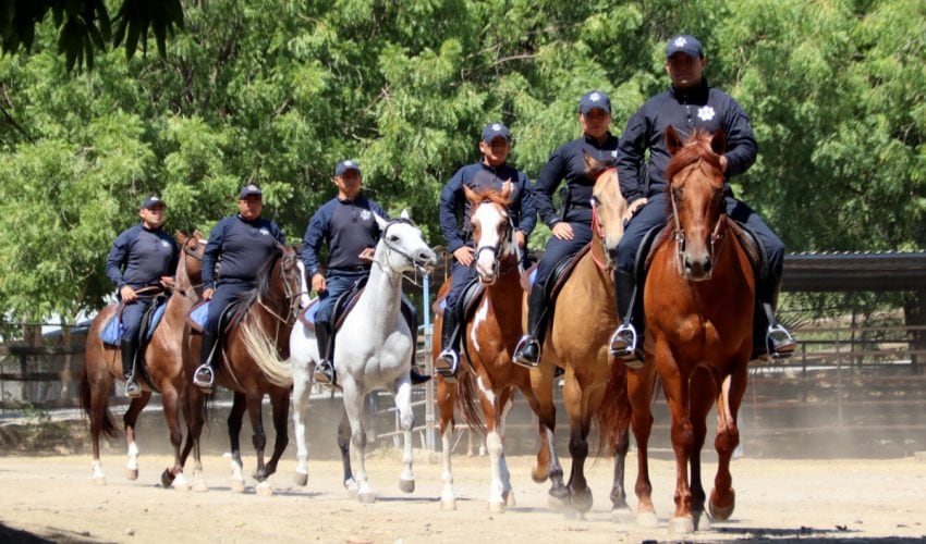Jinetes de la Guardia Estatal preservan seguridad en áreas rurales y naturales