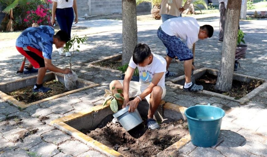 Adolescentes y sus familias reforestan Centro Regional de Ejecución de Medidas