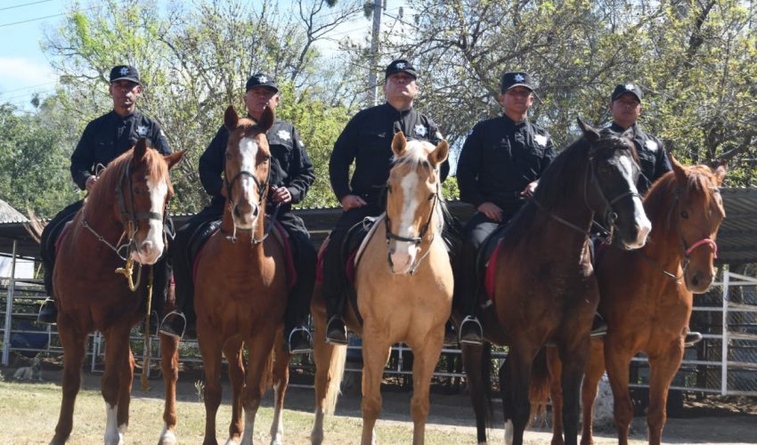 Agrupamiento montado de la Guardia Estatal mantiene proximidad permanente