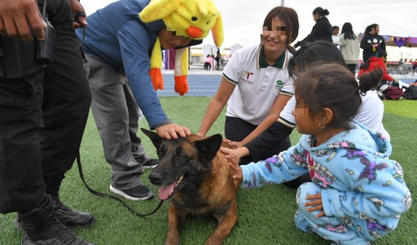 Reconoce SSPT labor de elementos caninos