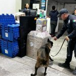 Realiza Agrupamiento Canino de la Guardia Estatal operativo para detectar narcóticos en Central de Autobuses
