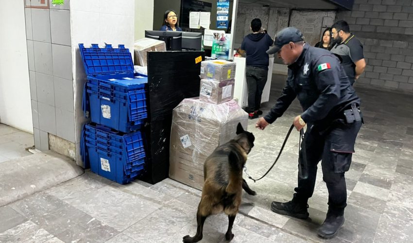 Realiza Agrupamiento Canino de la Guardia Estatal operativo para detectar narcóticos en Central de Autobuses