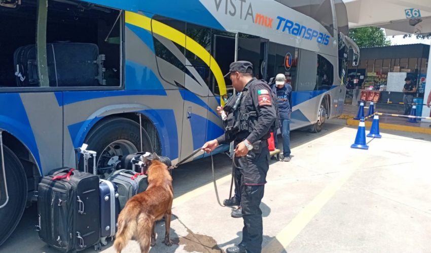Fortalece Guardia Estatal vigilancia en central de autobuses