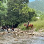 Agrupamiento Montado de la Guardia Estatal refuerza vigilancia en zonas de difícil acceso