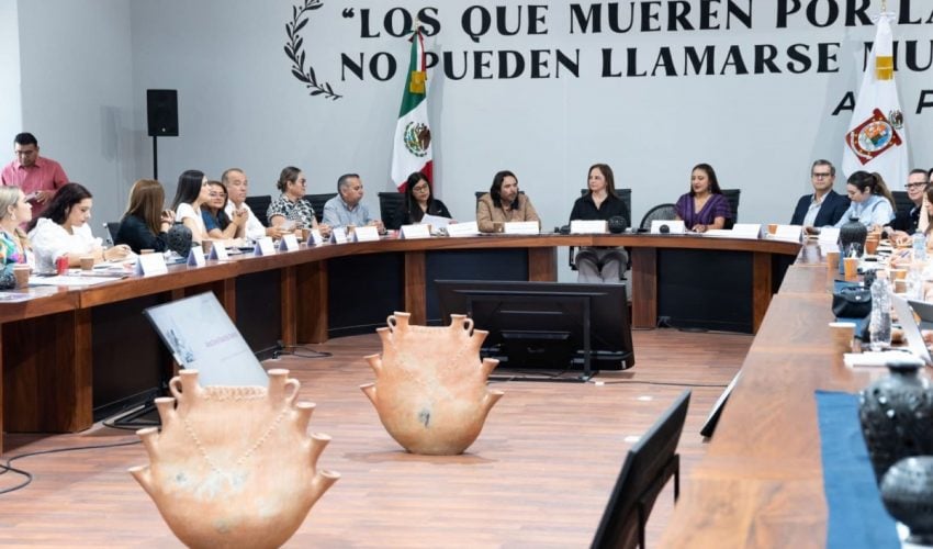 Participa Tamaulipas en la Trigésima Primera Sesión Ordinaria de la Comisión de Secretarías Ejecutivas de Protección Integral (COMSE)
