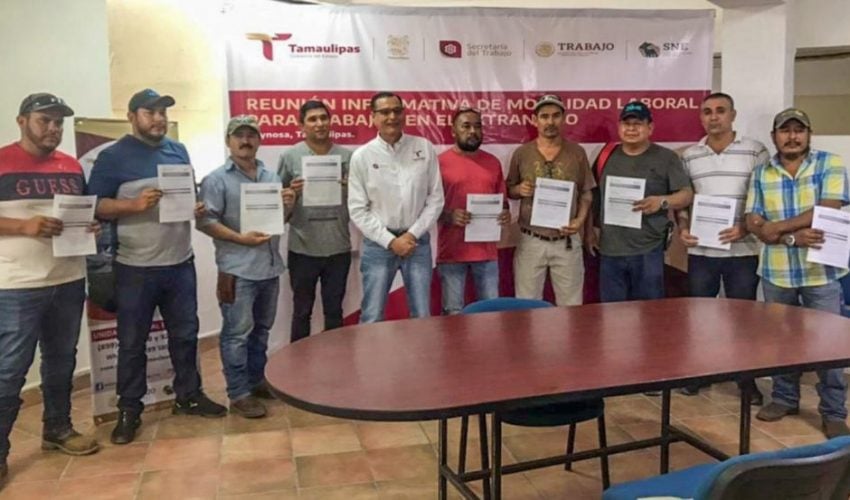 Trabajadores de Reynosa y San Fernando tendrán estancia laboral en Canadá