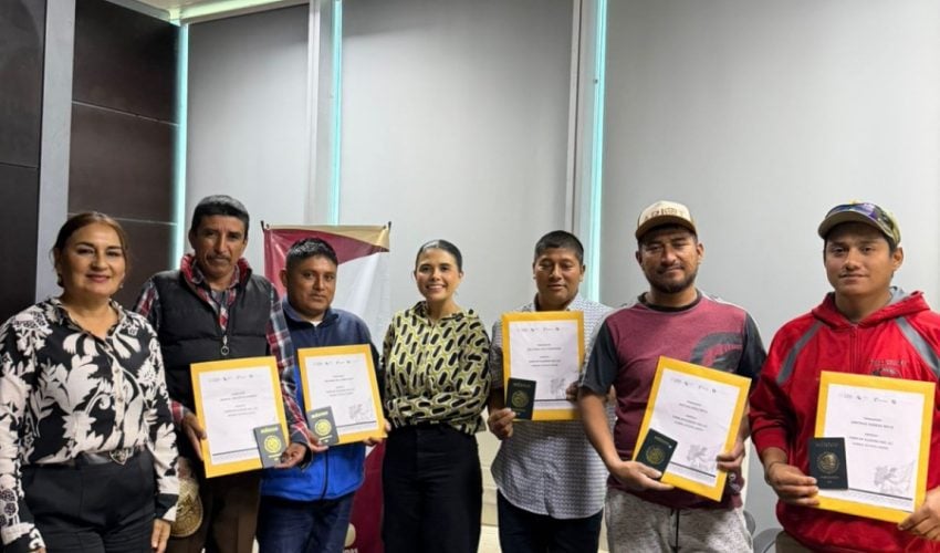 Fortalece STPS Programa de Movilidad Laboral para ampliar oportunidades de empleo formal