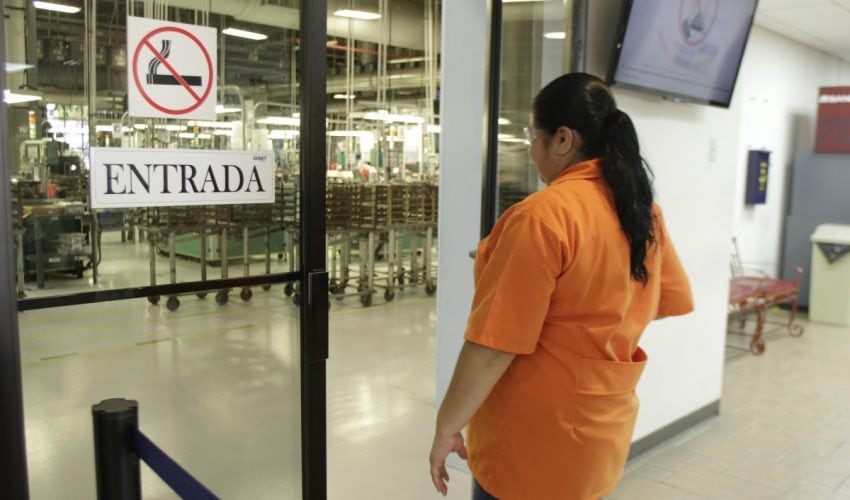 El SNE Tamaulipas, ofreció más de 95 mil 563 atenciones y oportunidades de empleo en el 2017