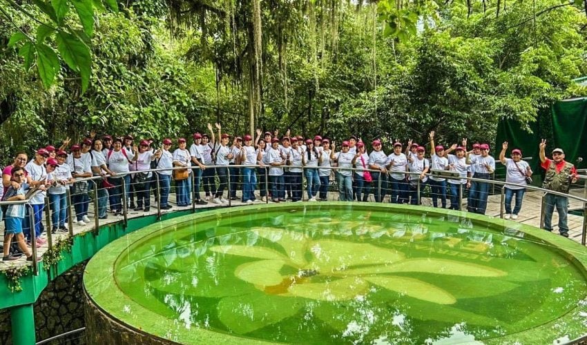 Disfrutan más de 800 personas turismo social de Sectur y DIF Tamaulipas
