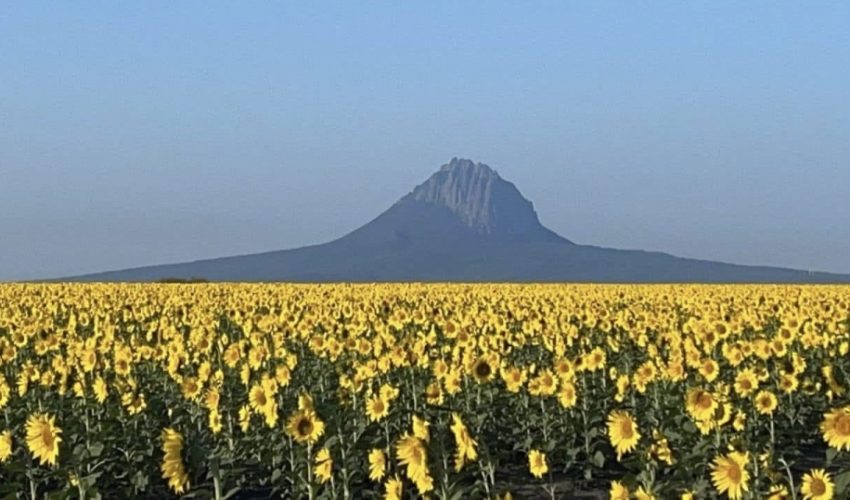 Prepara Turismo “La Ruta del Bernal” en González