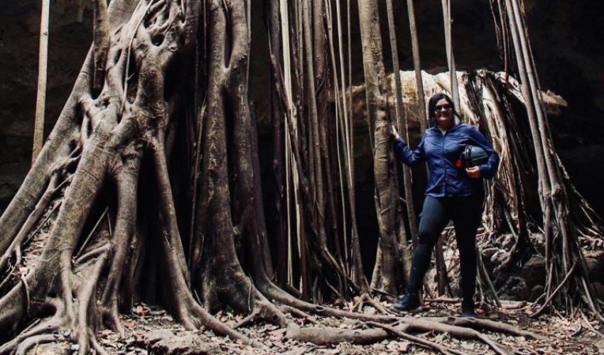 Turismo internacional en ascenso sostenido: Sectur