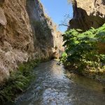 Vive la Semana Santa en Tamaulipas: Turismo