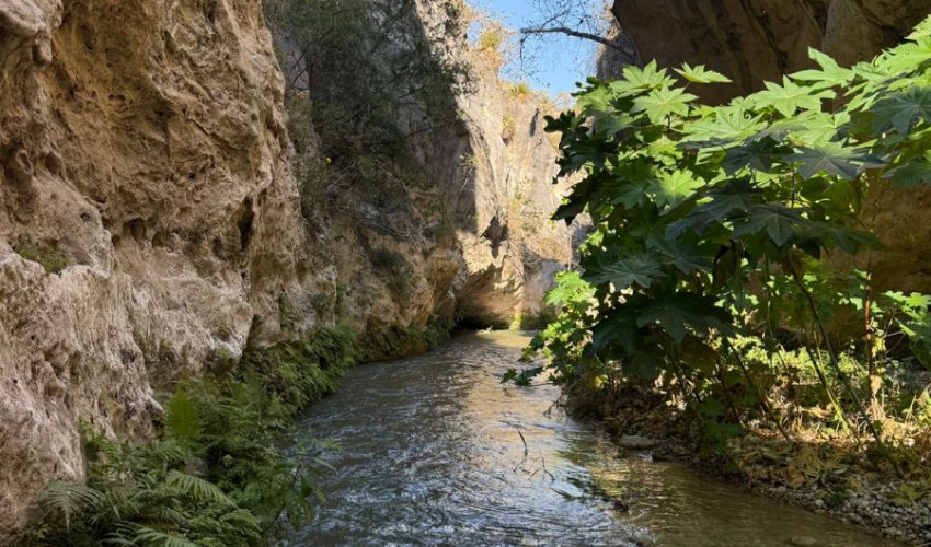 Vive la Semana Santa en Tamaulipas: Turismo