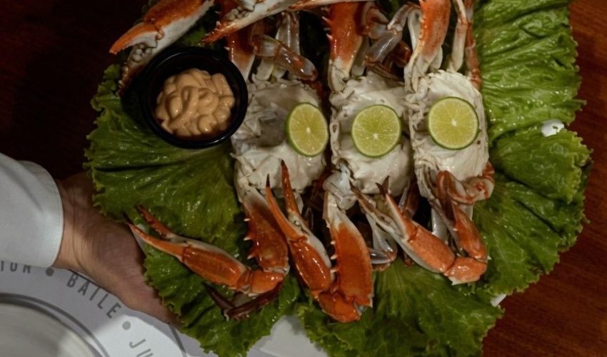 Ruta Gastronómica de las Cantinas de Tradición: un recorrido por la historia viva de Tampico
