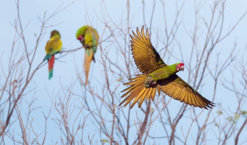 Fotógrafos nacionales registran las bellezas naturales de Tamaulipas