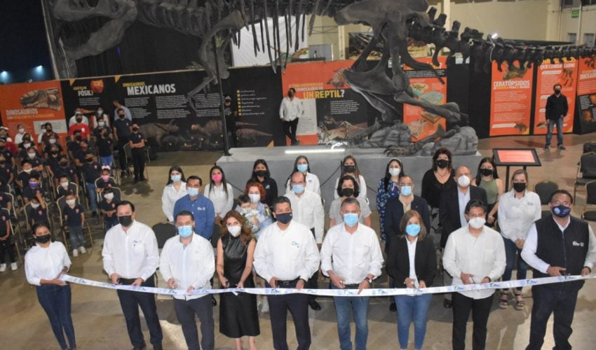 Inauguran en Tampico el museo itinerante “Tierra de Dinosaurios”