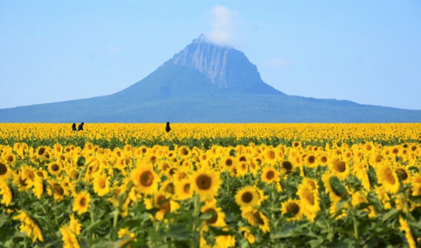 Tamaulipas espera 800 mil visitantes en el periodo vacacional de fin de año