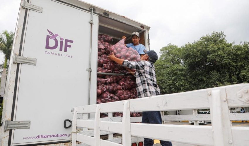 Donan 19 toneladas de productos del campo al DIF Tamaulipas