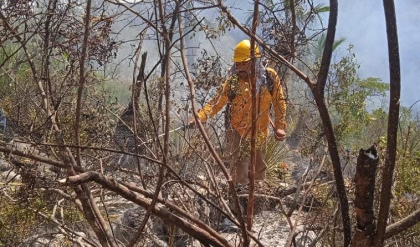 Permanentes acciones de contención y extinción de incendios forestales en Tamaulipas