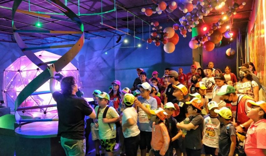 ¡Vive tus vacaciones en el TAMUX!