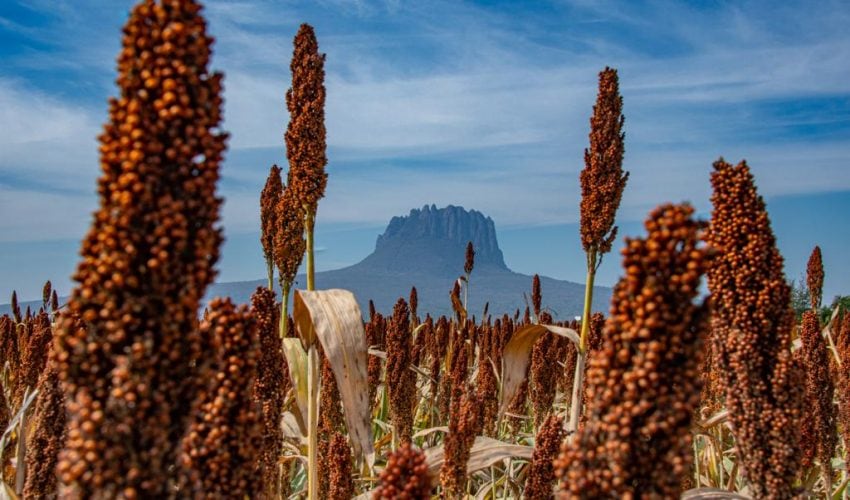 Dan a conocer ganadores del Primer Concurso Estatal de Fotografía «Esto es Tamaulipas»