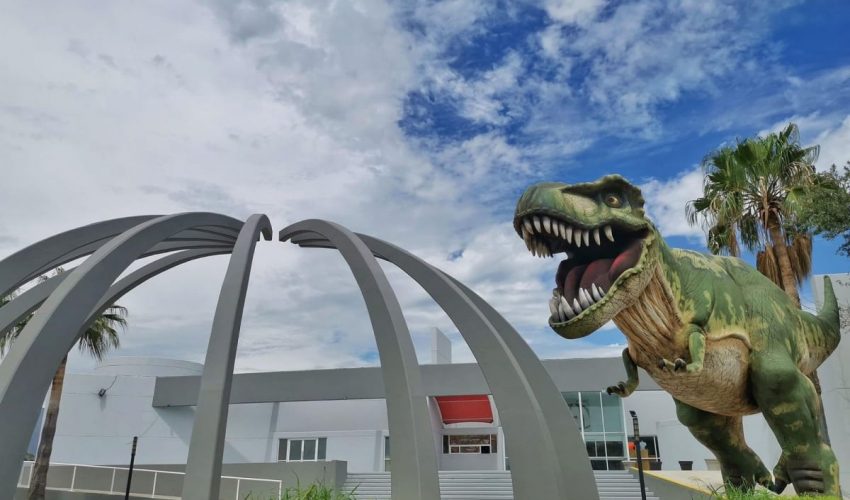 Ofrece TAMUX sorpresas de fin de semana y nuevos talleres