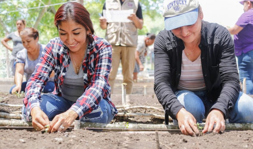 Beneficia DIF Tamaulipas a familias del municipio de Ocampo con el curso “Huerto Familiar”