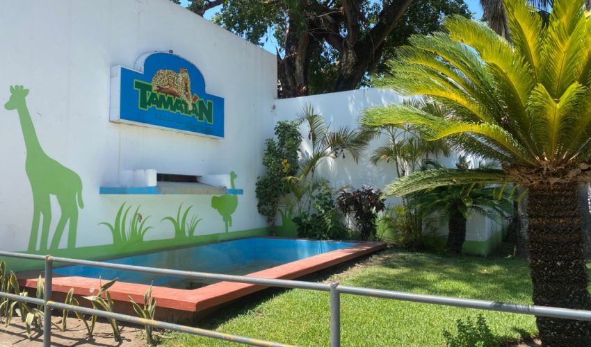 Arranca “Buu en el Zoo”, el recorrido más espeluznante