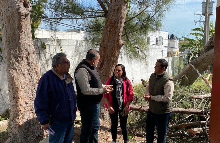 Restaurará ITIFE escuelas del sur afectadas por vientos