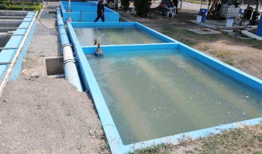 Modernizan infraestructura hidráulica y eléctrica en Xicoténcatl y Altamira